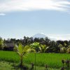 Bali-Landschaft (7)